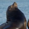 Yuga Surfer's profile picture