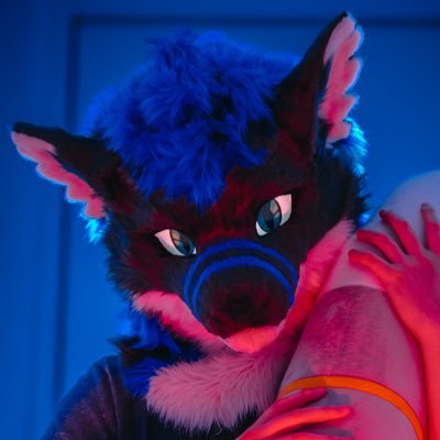 Hiddͩeͤnͬᵍ's profile picture
