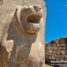 Lions of Hattusa 的头像