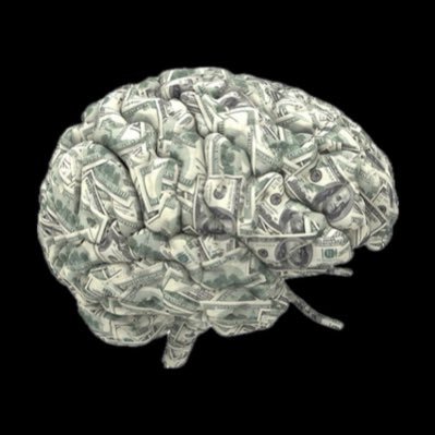 moneybrain_co's profile picture