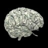 Money Brain's profile picture