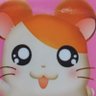 Profilbild von mayu_rinâ€ïžð