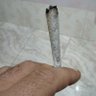 Profilbild von حاشوم