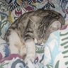 Jspjsp Jspjsp profil fotoğrafı