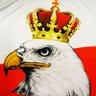 Biało Czerwony 🇵🇱👊 profil fotoğrafı