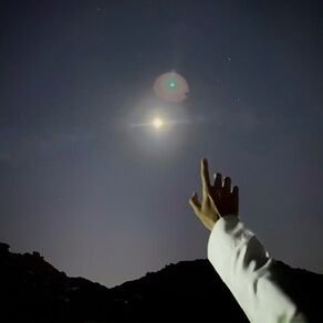 Max Orkida's profile picture