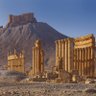 Ruins Explorer 的头像