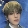 yoshi_archive's profile picture
