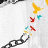 Liberté.......حرية.........FreeDom's profile picture