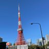 SpotTokyo【緊急事態条項反対】's profile picture