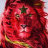 Moha Ben,🇲🇦's profile picture
