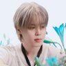 Profilbild von 지니¹³💛𝕄𝕌𝕊𝔼🩵