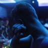 dcxml's profile picture