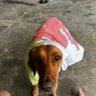 Фото профиля Ivan