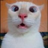 BuBkaAI's profile picture
