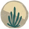 Lifestopia Shop's profile picture