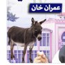 APS&9thMay's profile picture