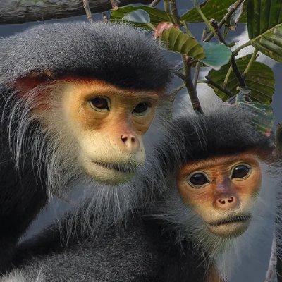 MavenPolitic's profile picture