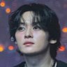 🐈's profile picture