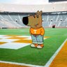 Chill Vol's profile picture