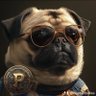 PUGcoin 的头像