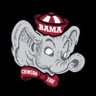 🐘🏈Bamagirl🐘🏈 profil fotoğrafı