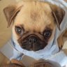 skinbaron's profile picture