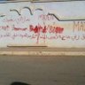 ahmedahmed yousafyousaf's profile picture