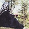 Selma profil fotoğrafı