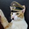 Gato Nazi profil fotoğrafı