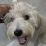 Vladimir Perez's profile picture