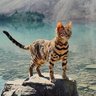 子不语's profile picture