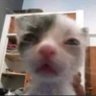 cole's profile picture