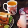 ハリネーター 的头像