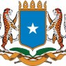MOHAMED IBRAHIM's profile picture