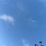 Sunshine in summer 的头像
