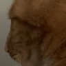 Profilbild von Land0