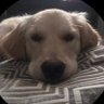 Brian's profile picture