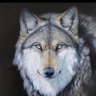Profilbild von Kurtreisss34