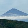 す 的头像