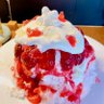 りこ🍧 的头像