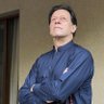Haroon Iqbal's profile picture