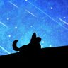 ナルチ 👑🐈⬛(来年YouTube活動予定) 的头像