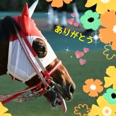 saccry's profile picture