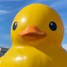 tettsun's profile picture