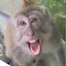 estebaldo's profile picture