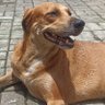 Señor S profil fotoğrafı