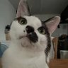 Profilbild von Ben Yao