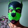 Profilbild von Nate Torres