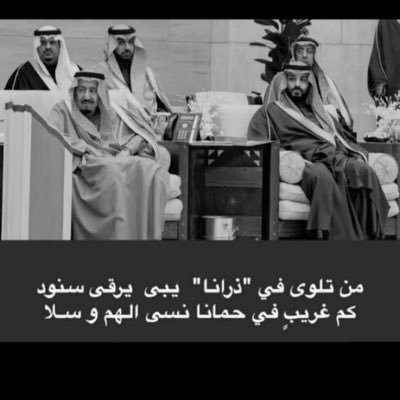 biin_nader's profile picture